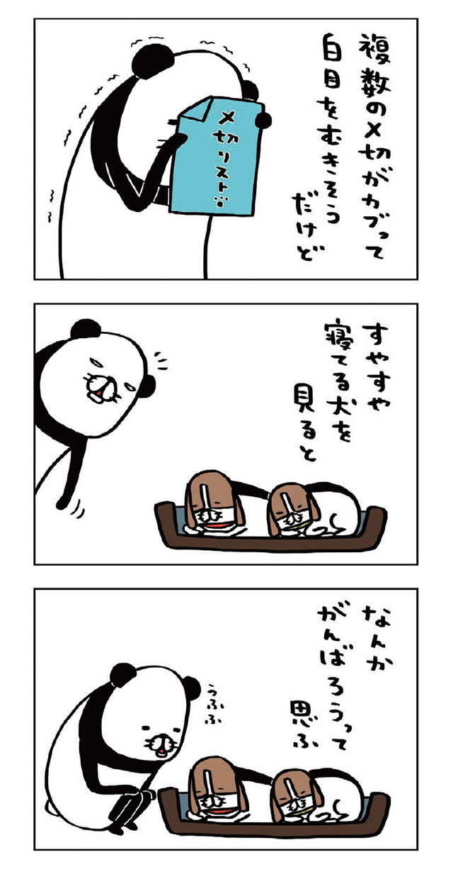 パンダと犬V