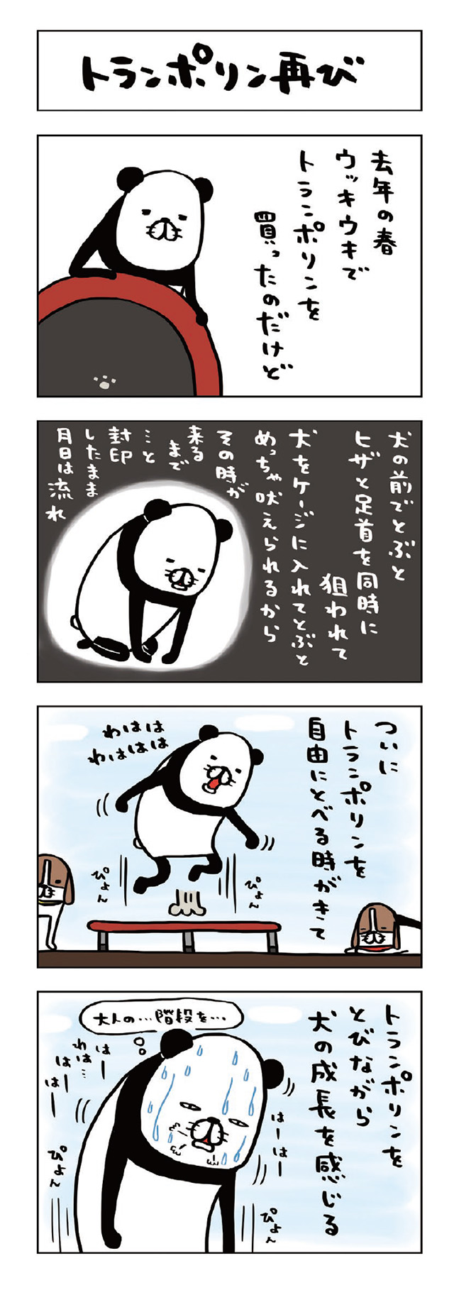パンダと犬V