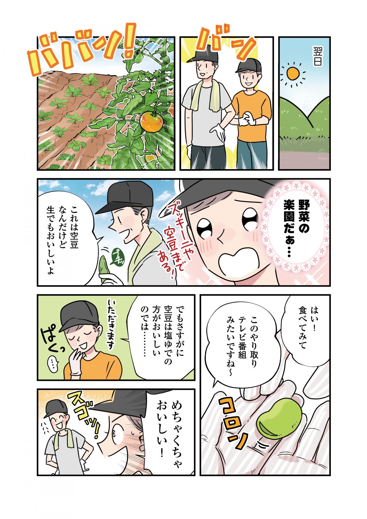 いたわりごはん