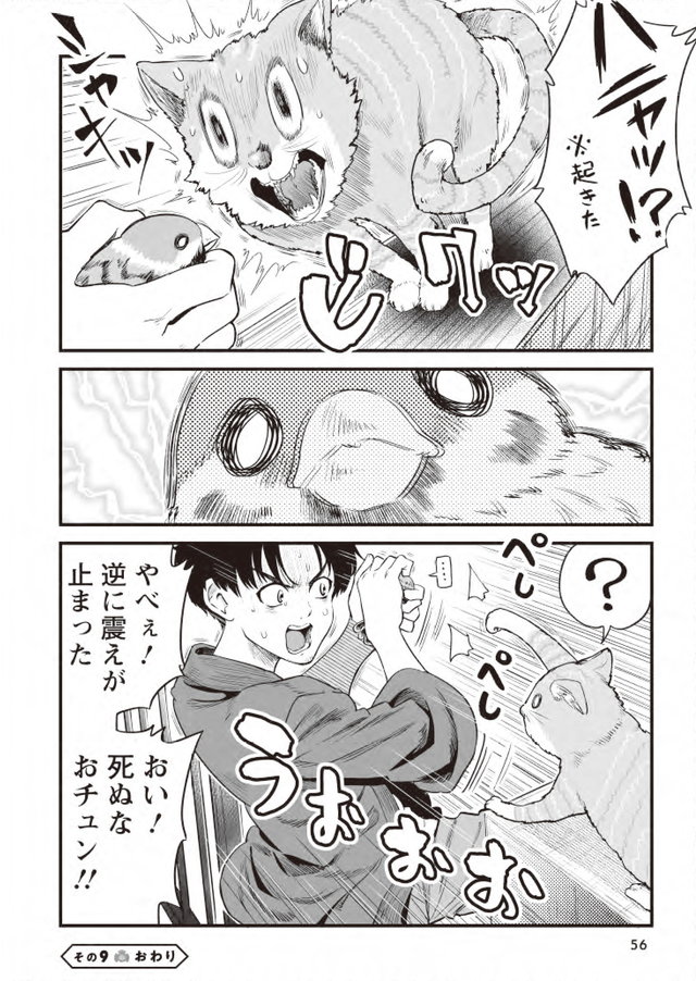 チュンの恩返し