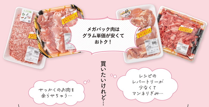 節約できる! おいしさまみれの肉のベストおかず306