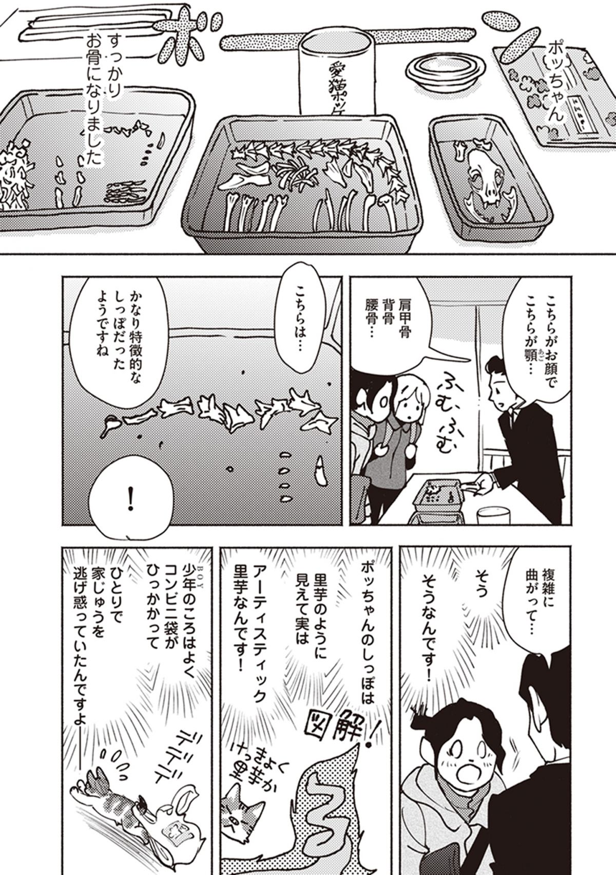 ポッケの旅支度