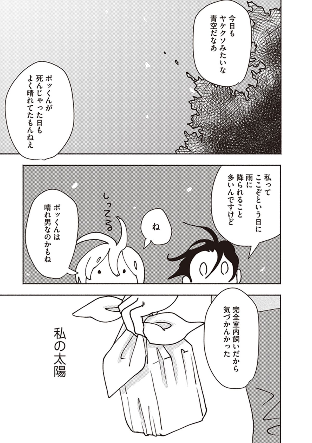 ポッケの旅支度