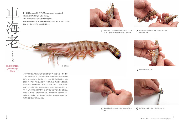 天ぷらのサイエンス おいしさを作り出す理論と技術が見える P120~121