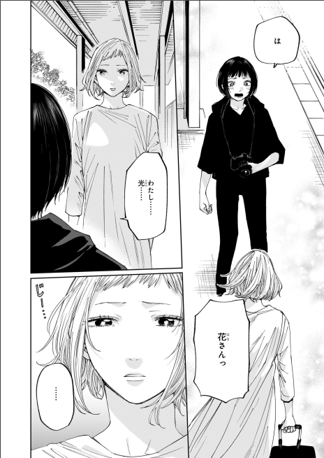 雨降り晴れて花ひかる