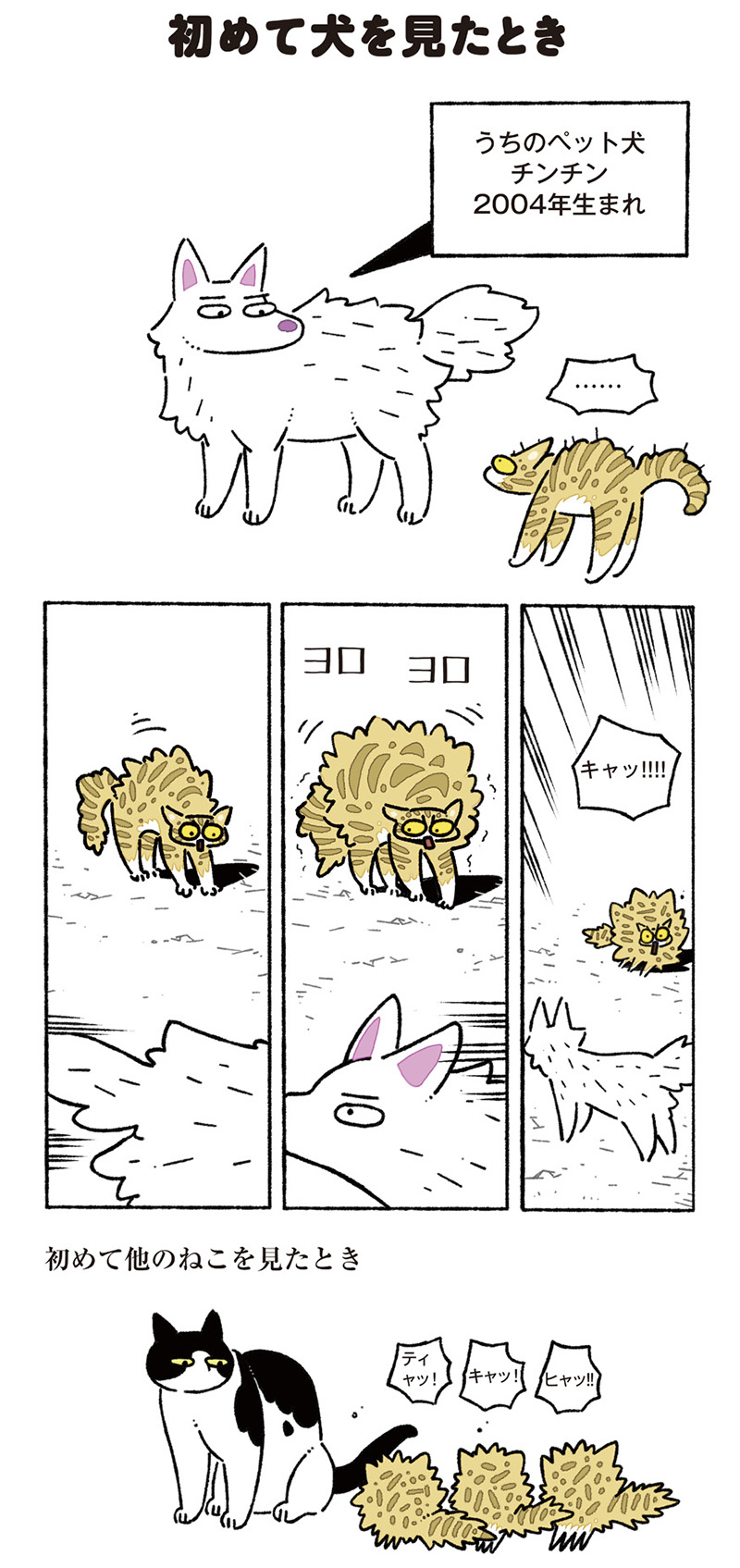 ねこ8匹分の幸せと暮らしています。