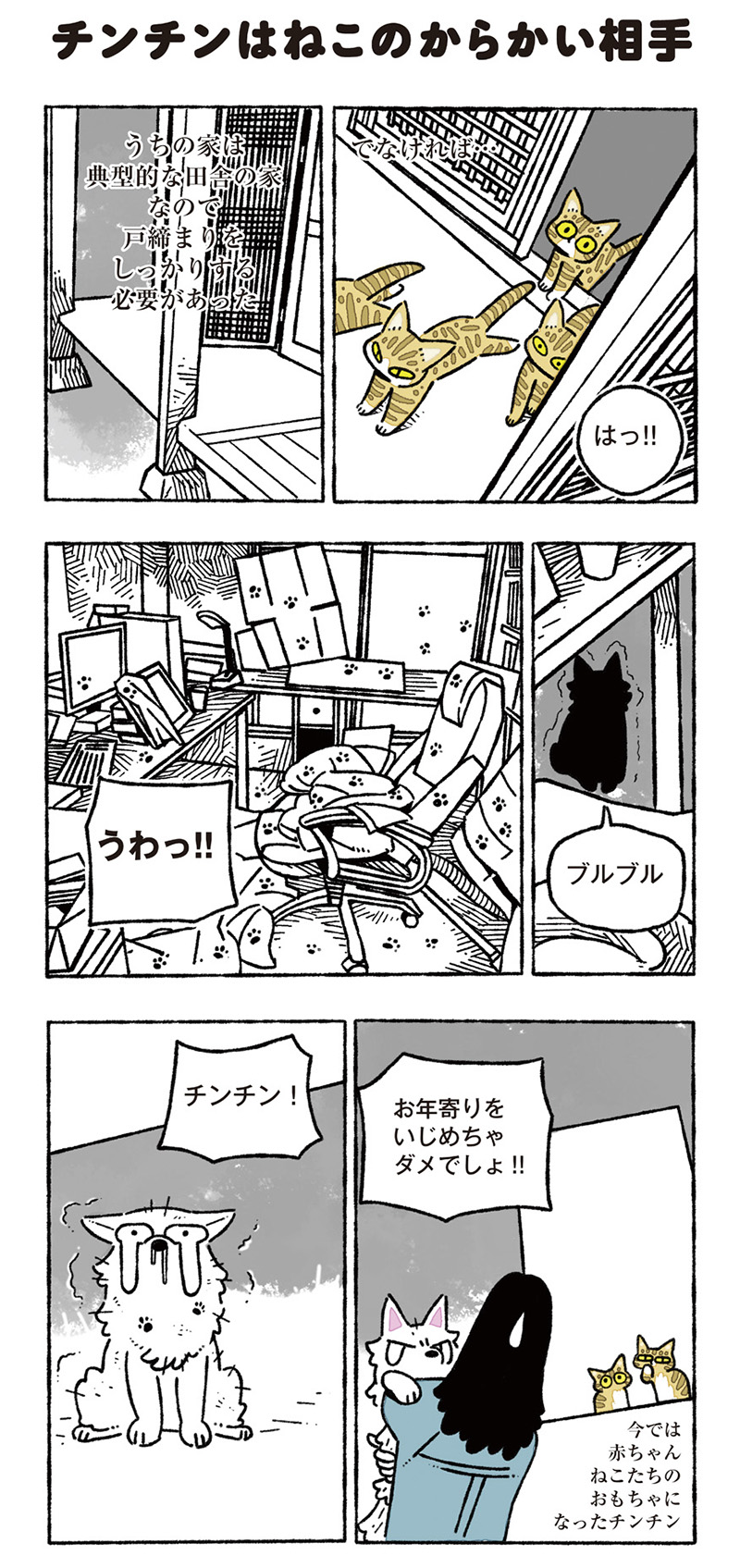 ねこ8匹分の幸せと暮らしています。