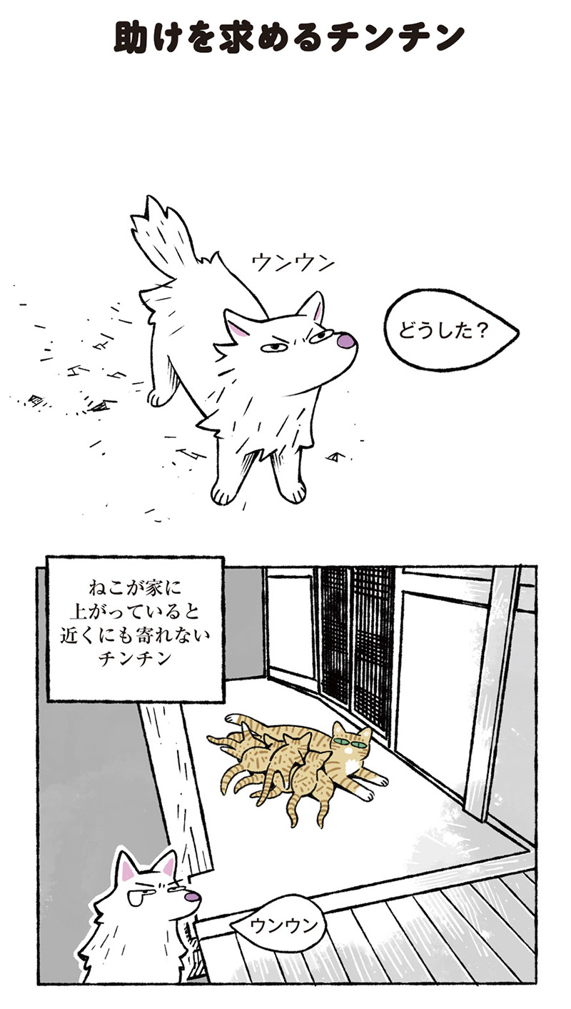 ねこ8匹分の幸せと暮らしています。