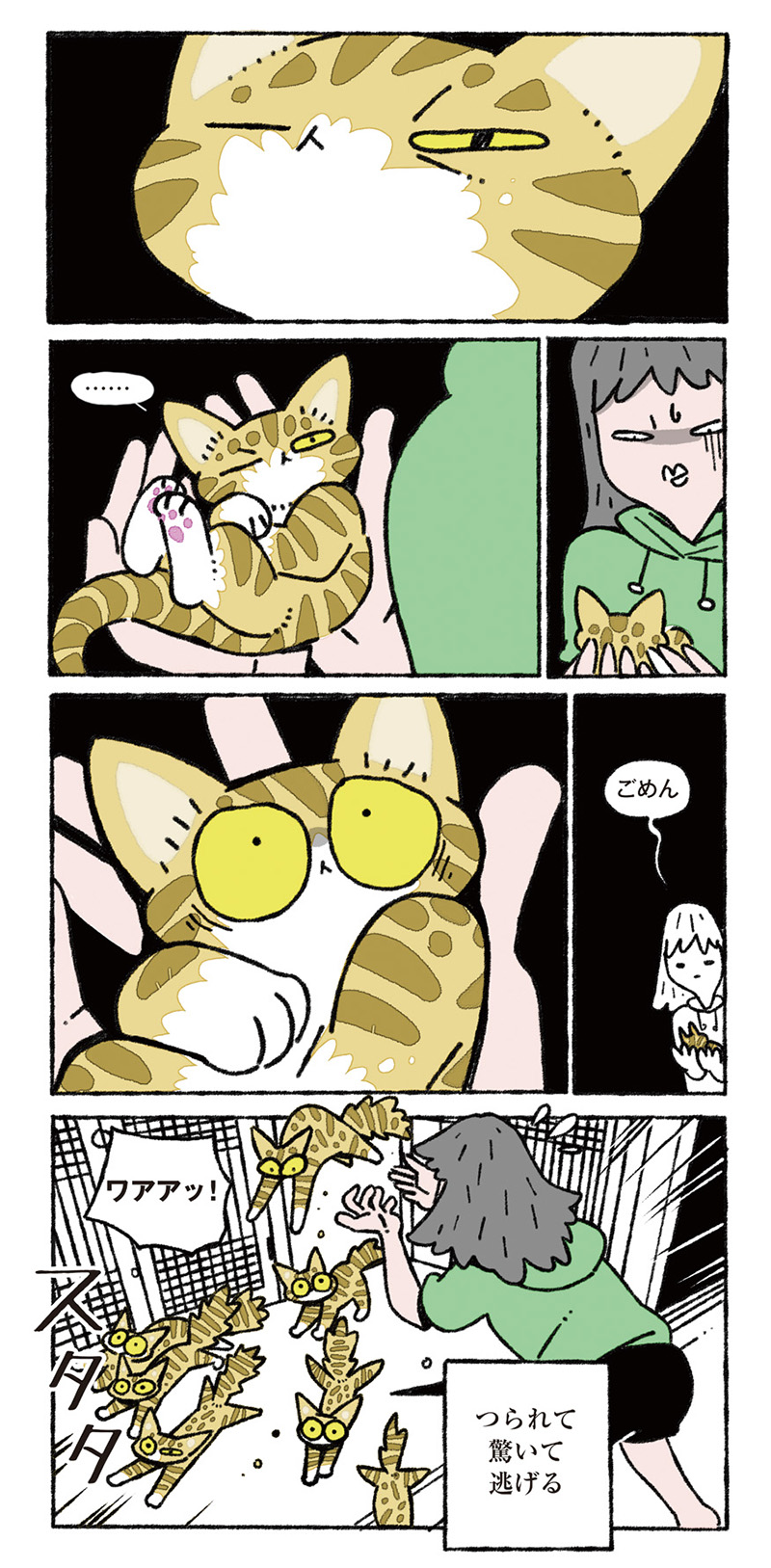 ねこ8匹分の幸せと暮らしています。