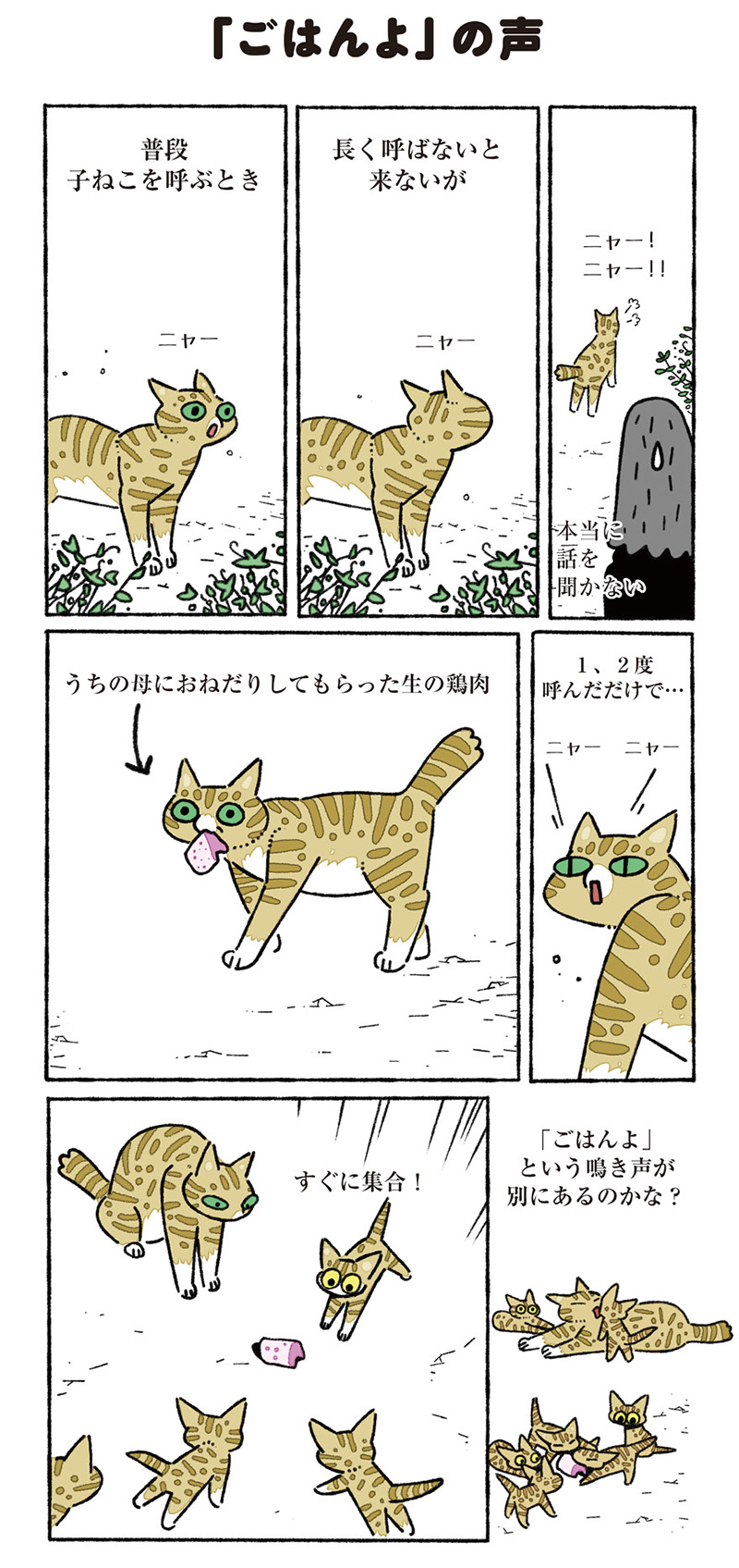 ねこ8匹分の幸せと暮らしています。