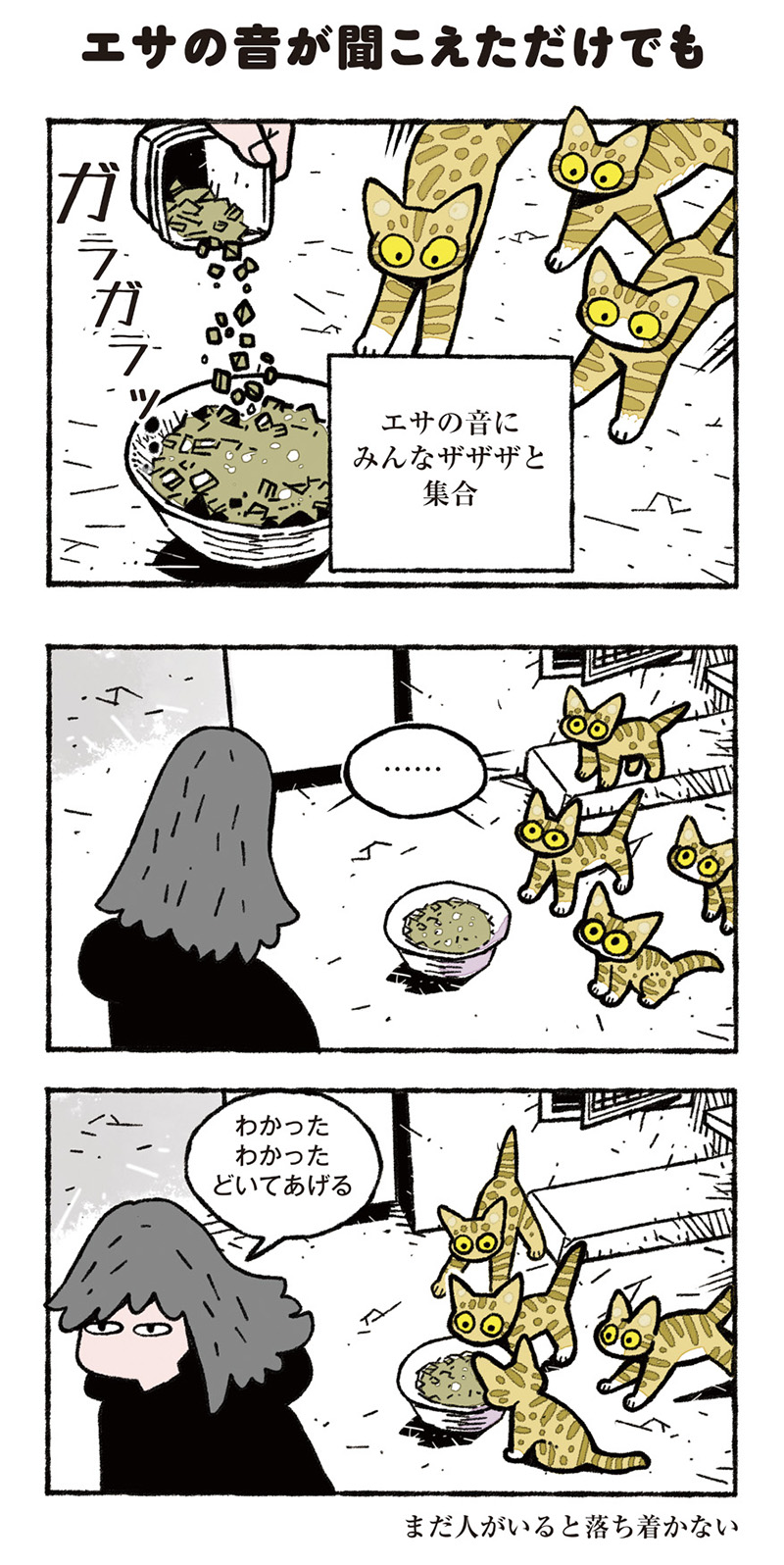 ねこ8匹分の幸せと暮らしています。