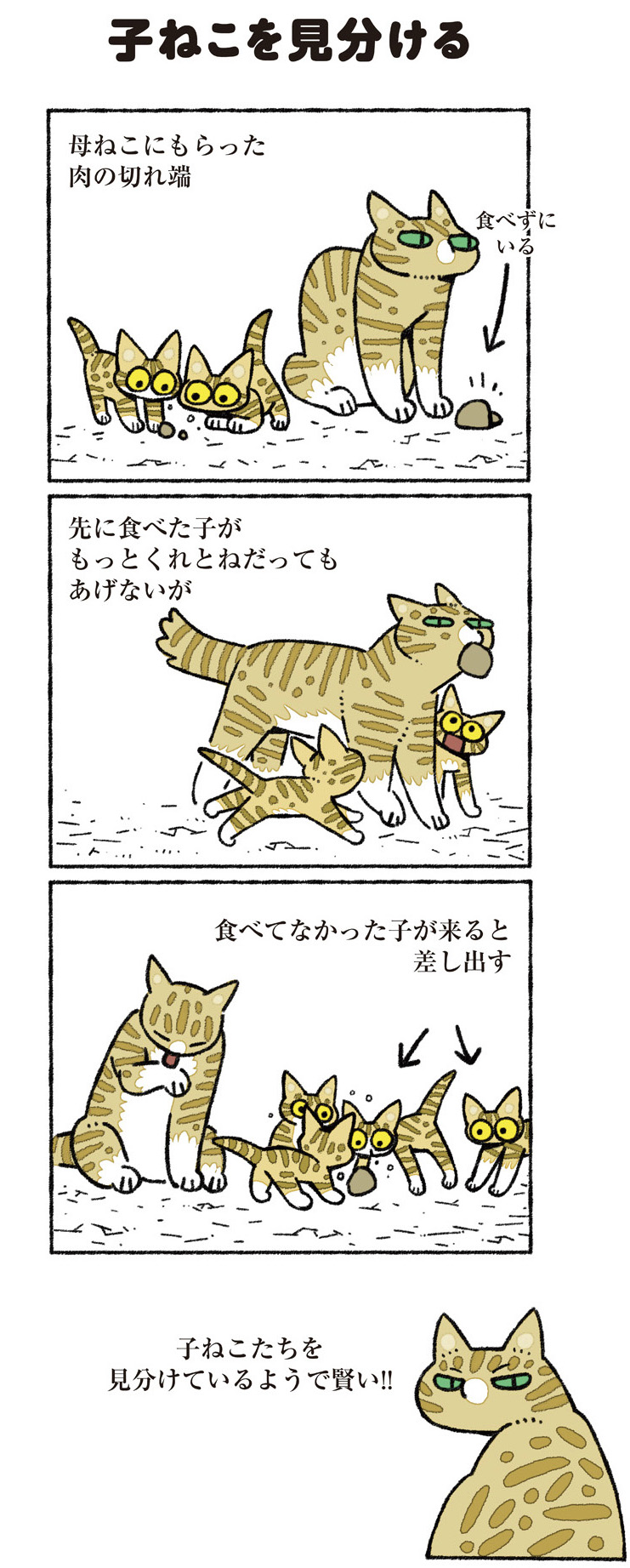 ねこ8匹分の幸せと暮らしています。