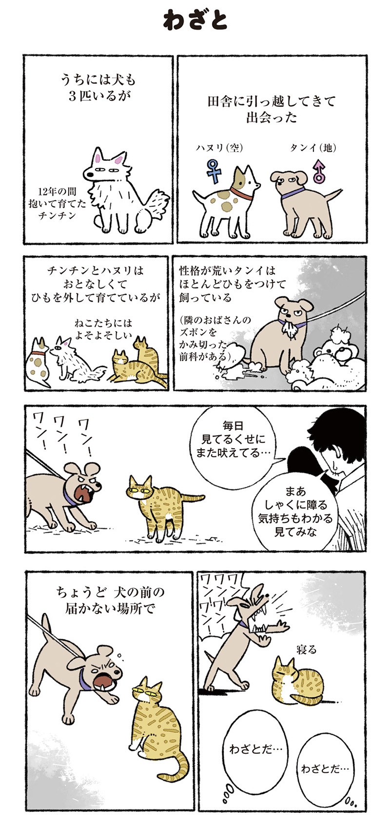 ねこ8匹分の幸せと暮らしています。