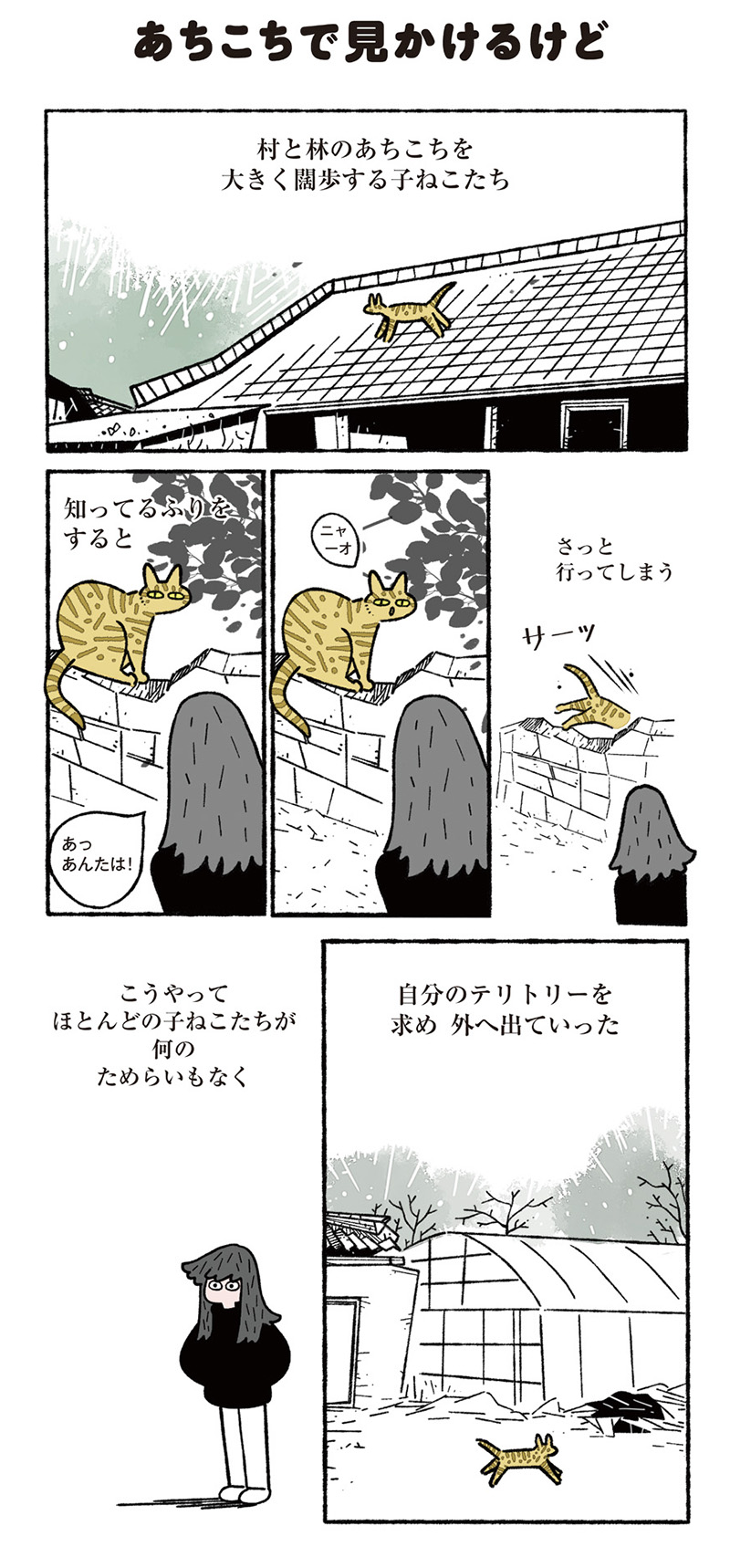 ねこ8匹分の幸せと暮らしています。