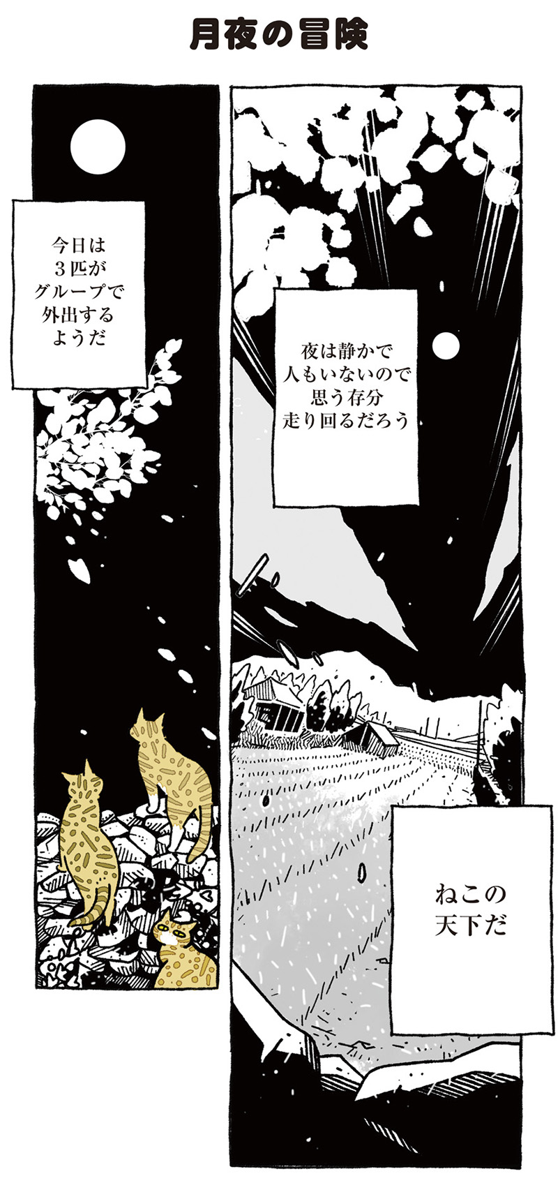 ねこ8匹分の幸せと暮らしています。