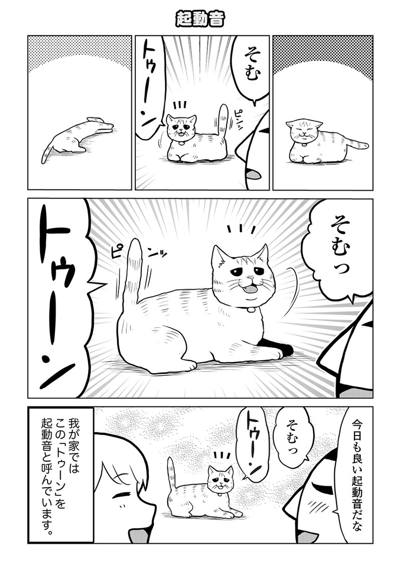 タレ目猫そむが可愛すぎるんじゃ~!