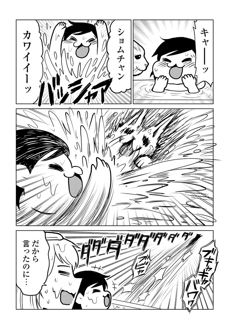 タレ目猫そむが可愛すぎるんじゃ～！