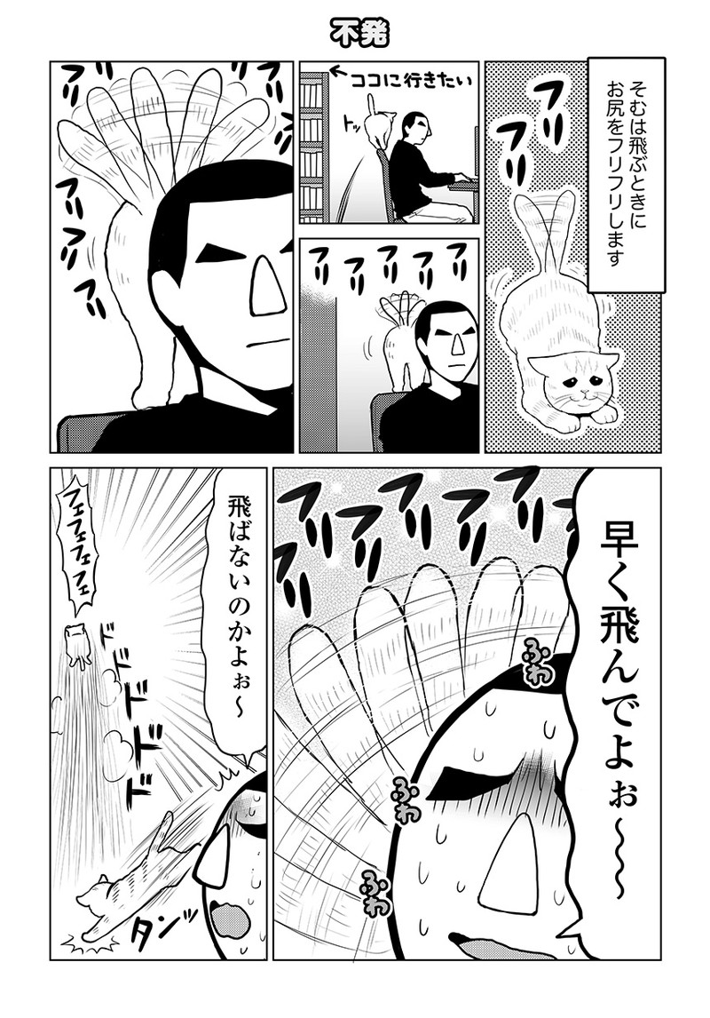 タレ目猫そむが可愛すぎるんじゃ～！