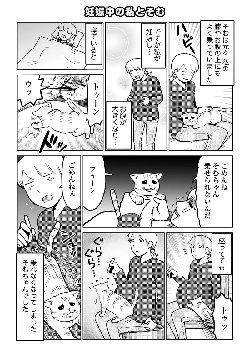 タレ目猫そむが可愛すぎるんじゃ~!