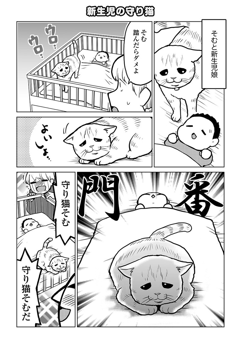 タレ目猫そむが可愛すぎるんじゃ～！