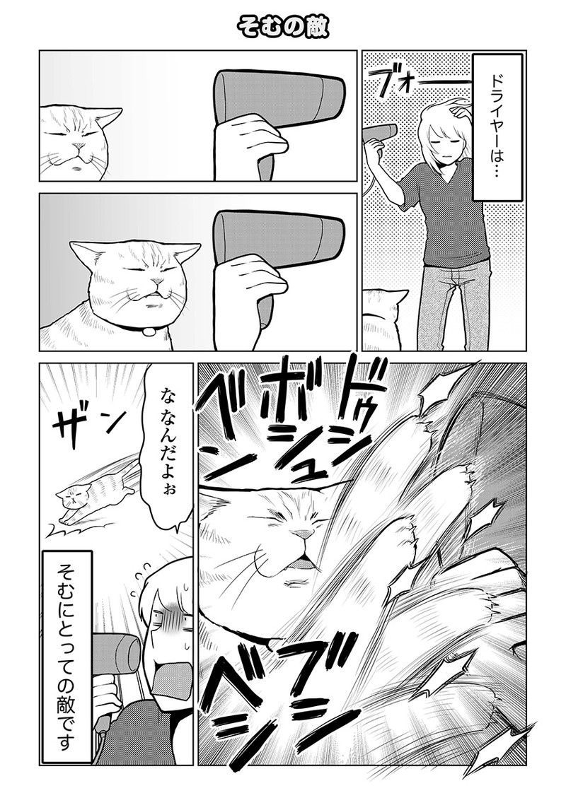 タレ目猫そむが可愛すぎるんじゃ～！
