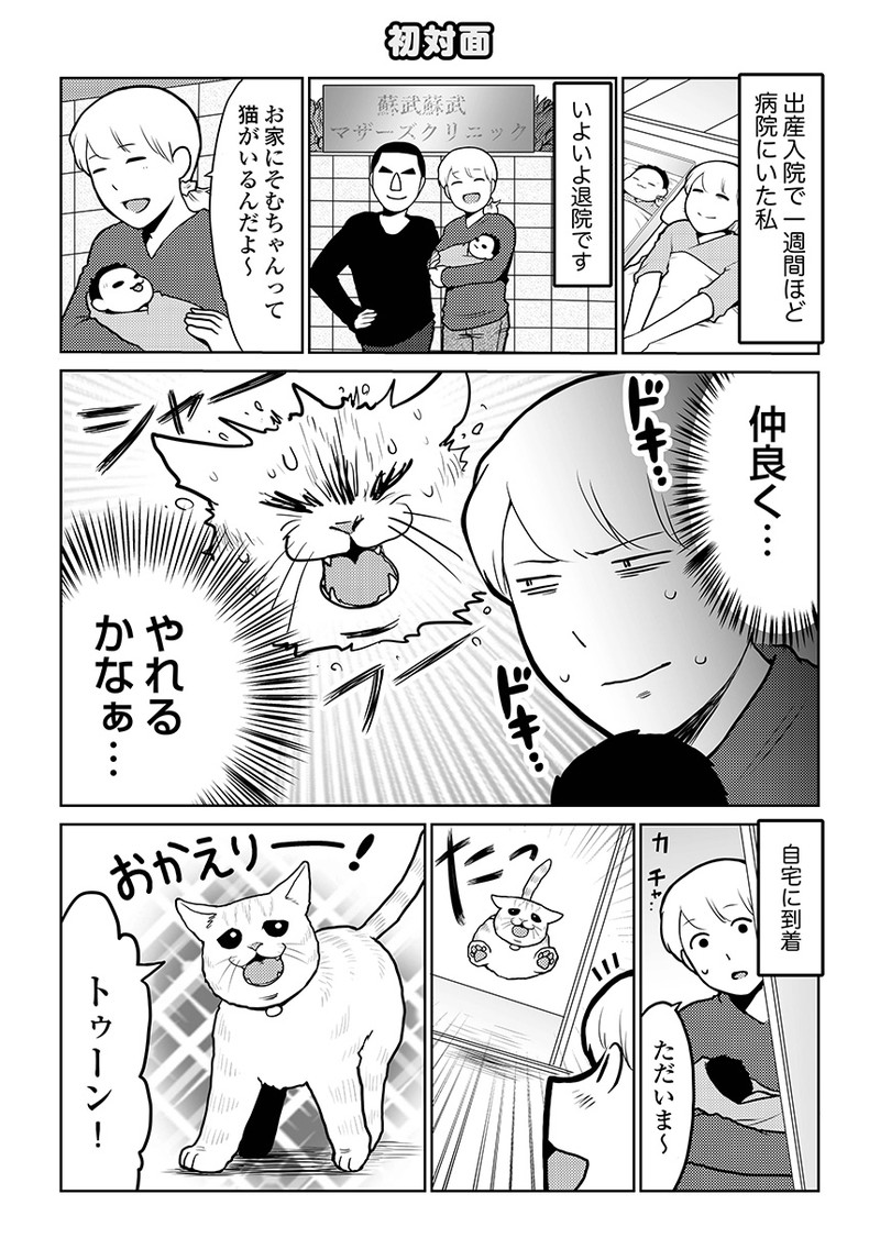 タレ目猫そむが可愛すぎるんじゃ~!