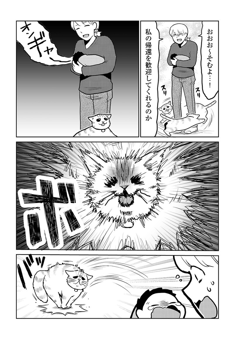 タレ目猫そむが可愛すぎるんじゃ～！