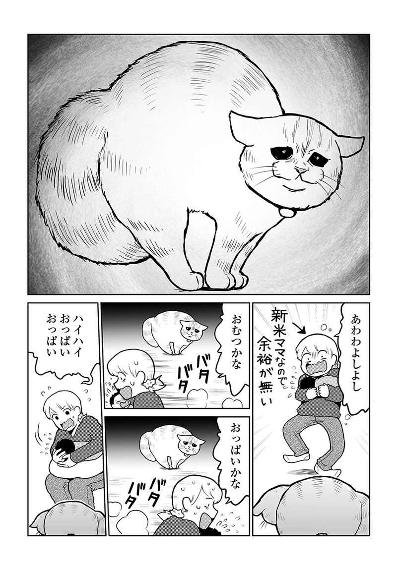 タレ目猫そむが可愛すぎるんじゃ～！