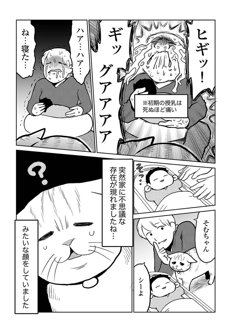 タレ目猫そむが可愛すぎるんじゃ～！