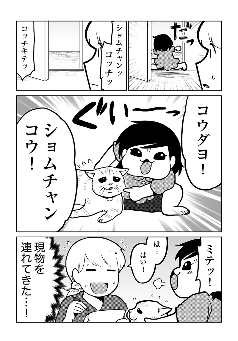 タレ目猫そむが可愛すぎるんじゃ～！