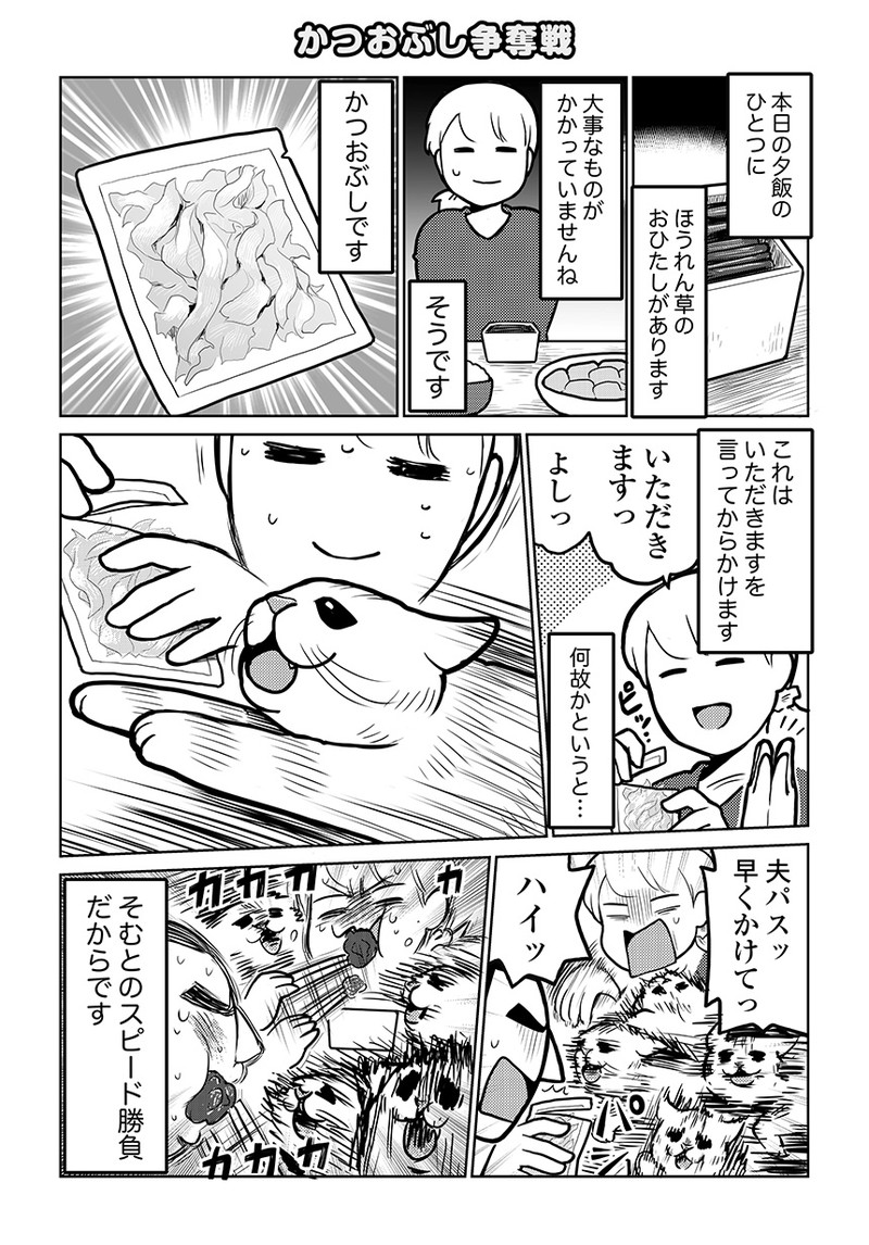 タレ目猫そむが可愛すぎるんじゃ～！