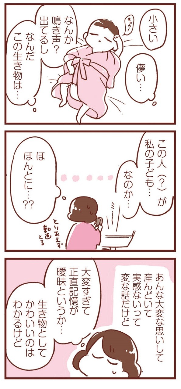 365日アカチャン満喫生活