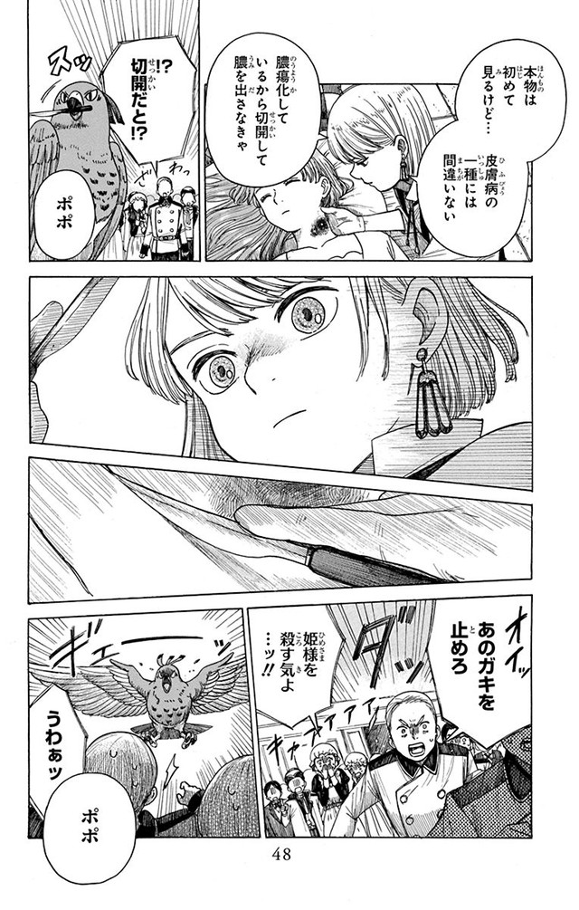 モモの医術史