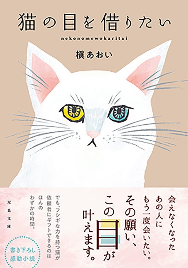 猫の目を借りたい
