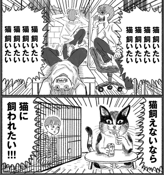 描描猫猫