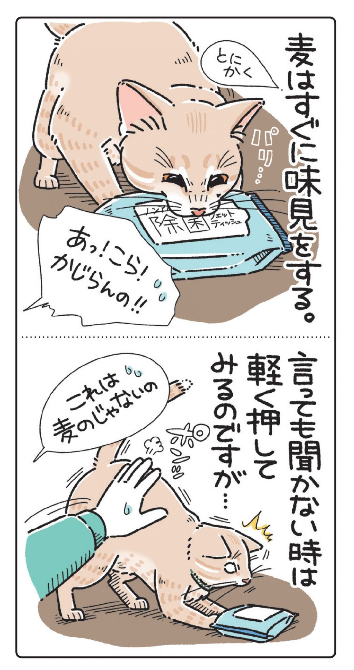 笑う門には麦がいる