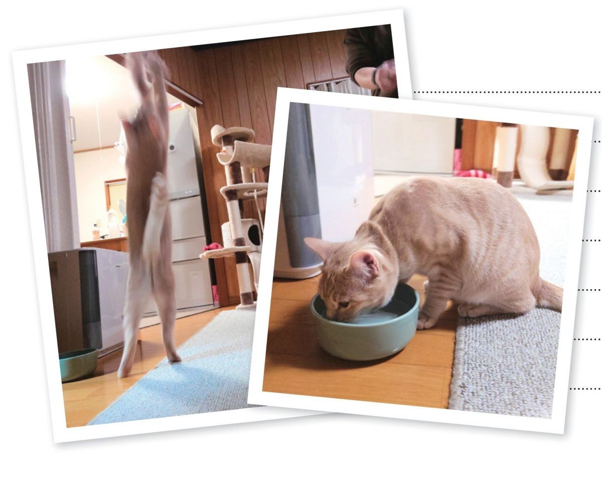 笑う門には麦がいる