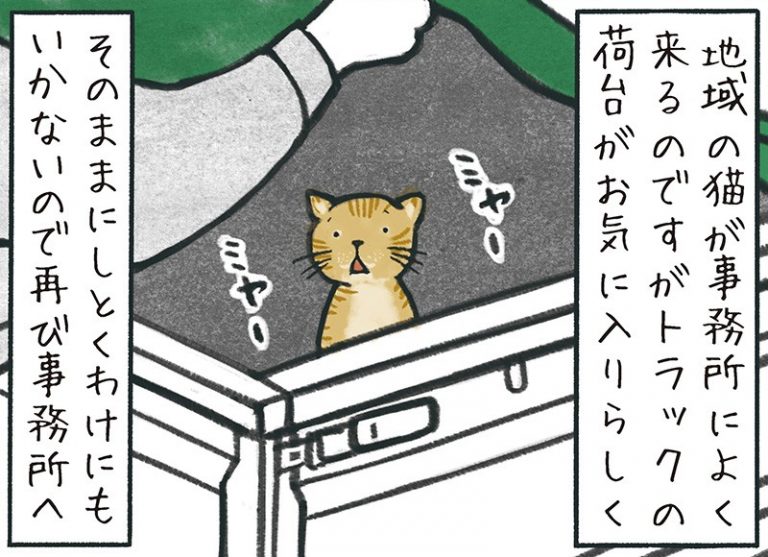 現場に到着するとトラックの荷台に猫がいた。そのまま放っておけず