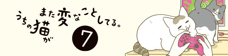 うちの猫がまた変なことしてる。7