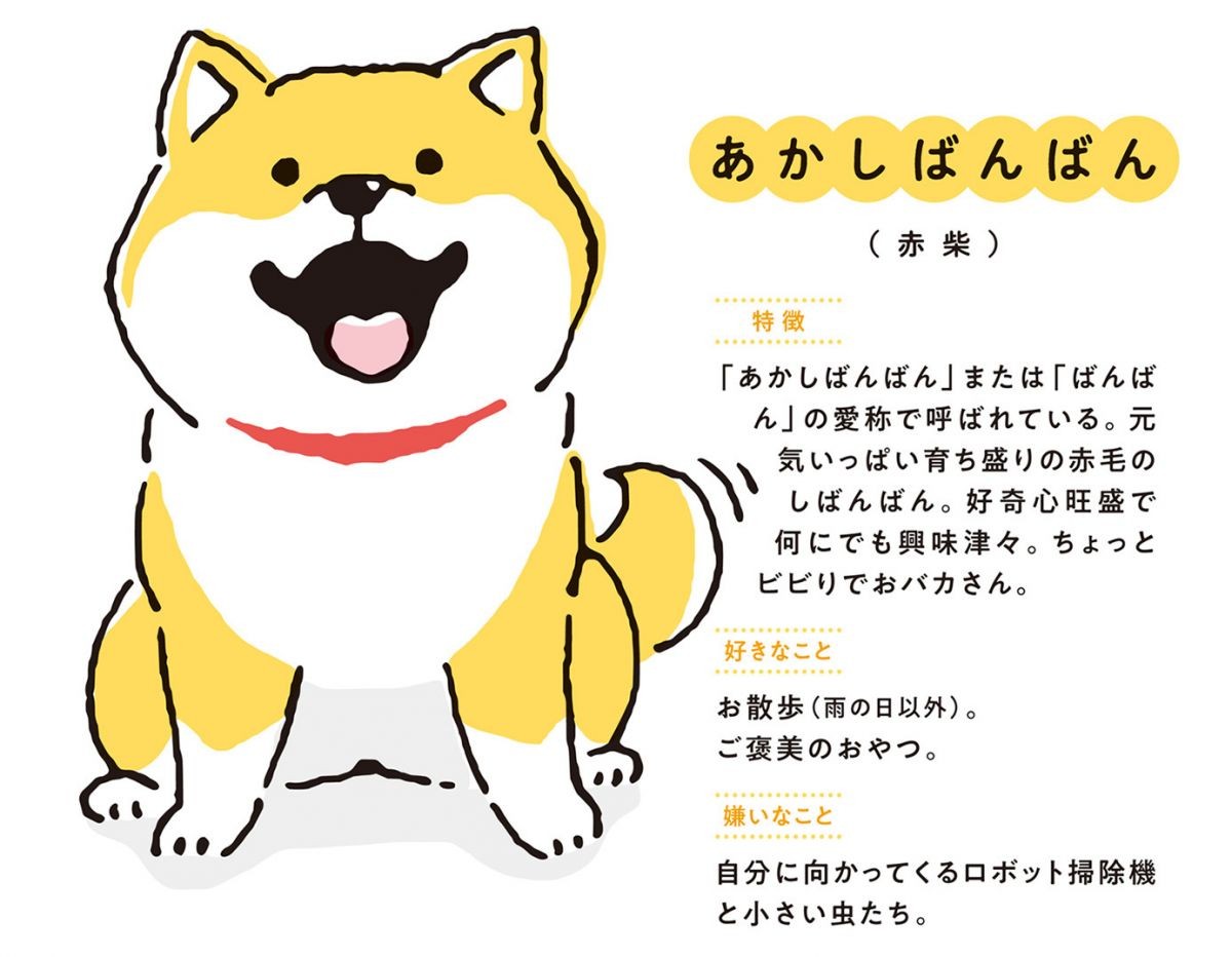 ビビり、おっとり、兄貴肌…どこかの誰かが飼っている柴犬たち「しばんばん」。個性豊かなしばんばんをご紹介！／しばんばん① | ダ・ヴィンチWeb