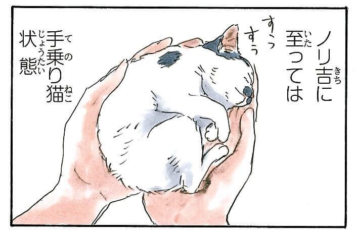 猫たらしページ 167121907_o22.jpg?