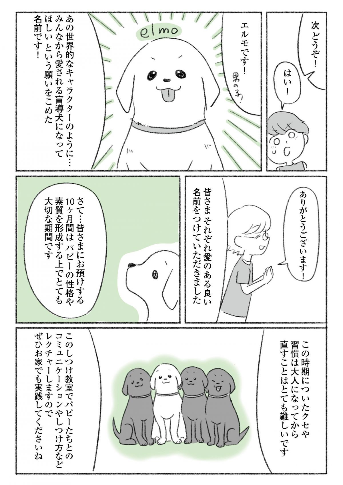 エルモと歩けば