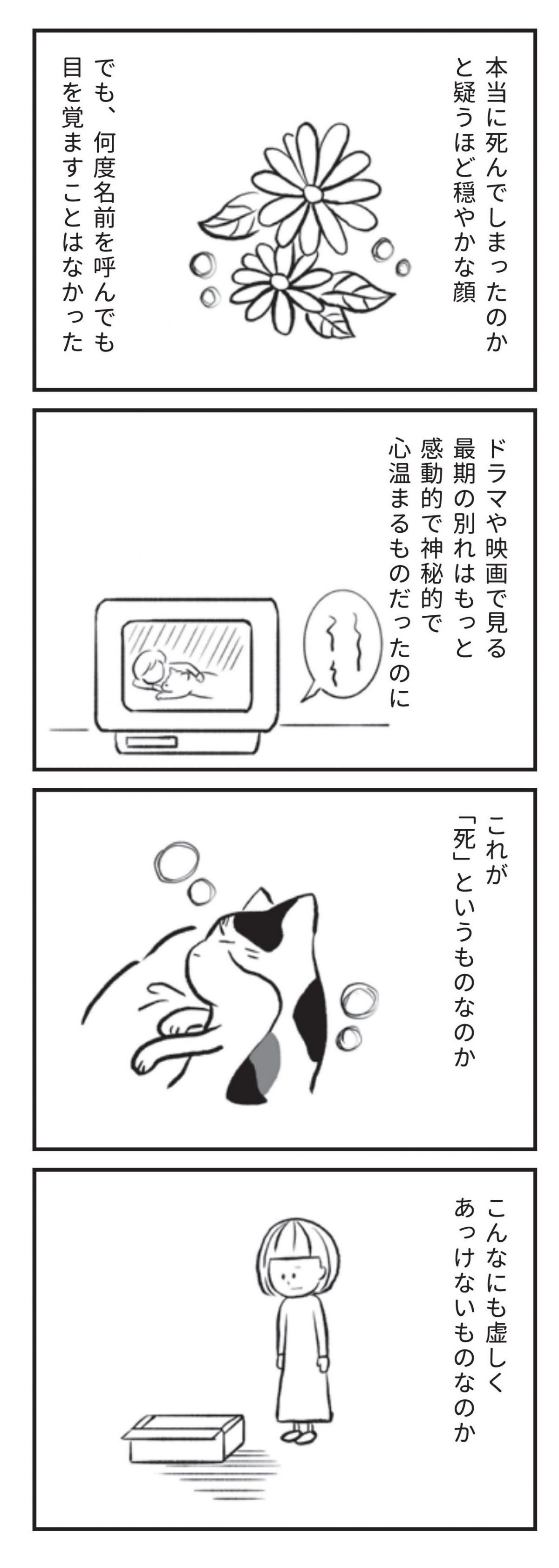 たまさんちのホゴネコ