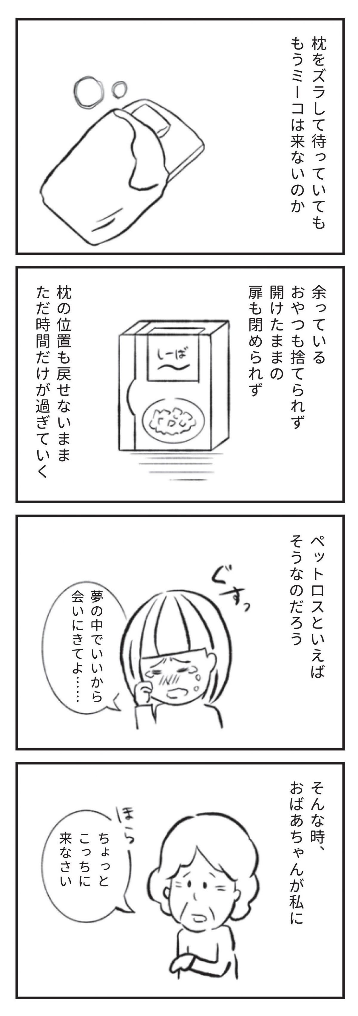 たまさんちのホゴネコ