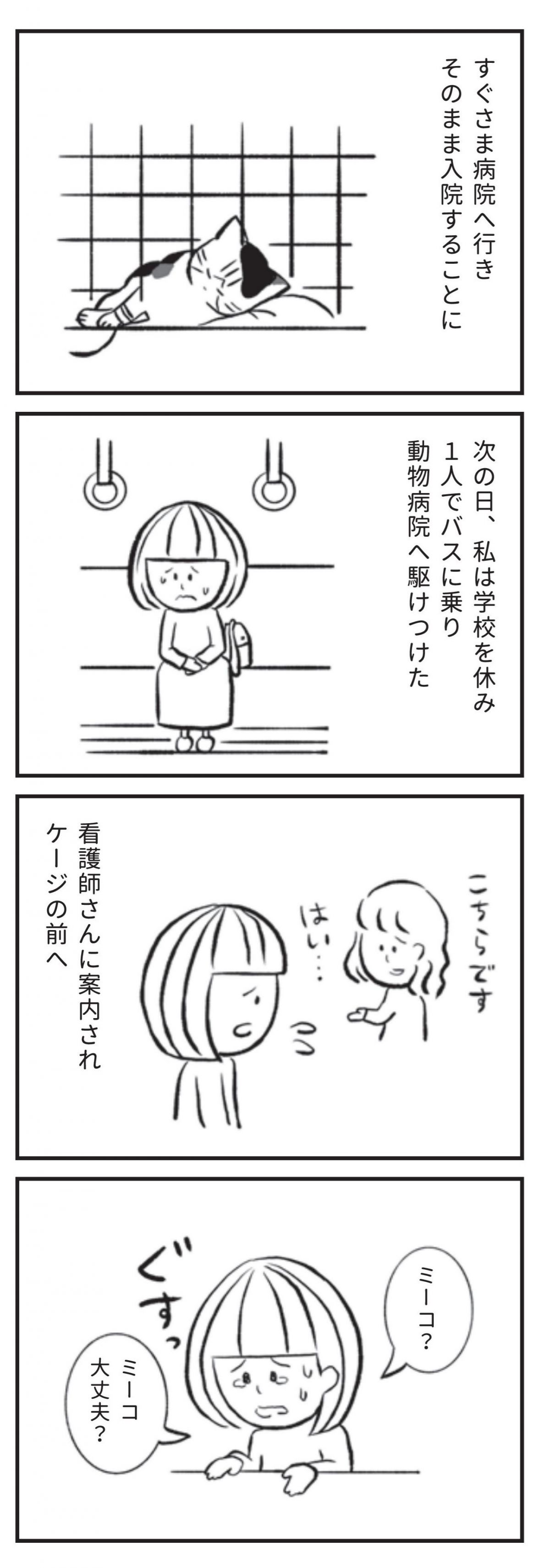 たまさんちのホゴネコ