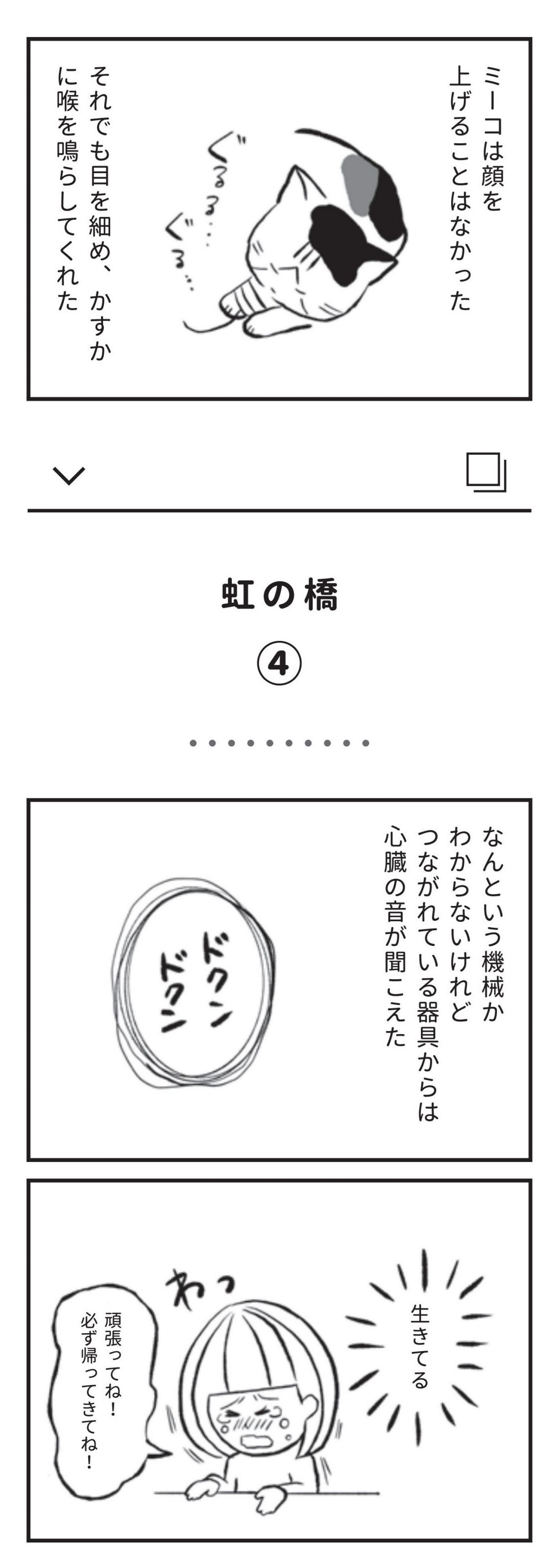 たまさんちのホゴネコ