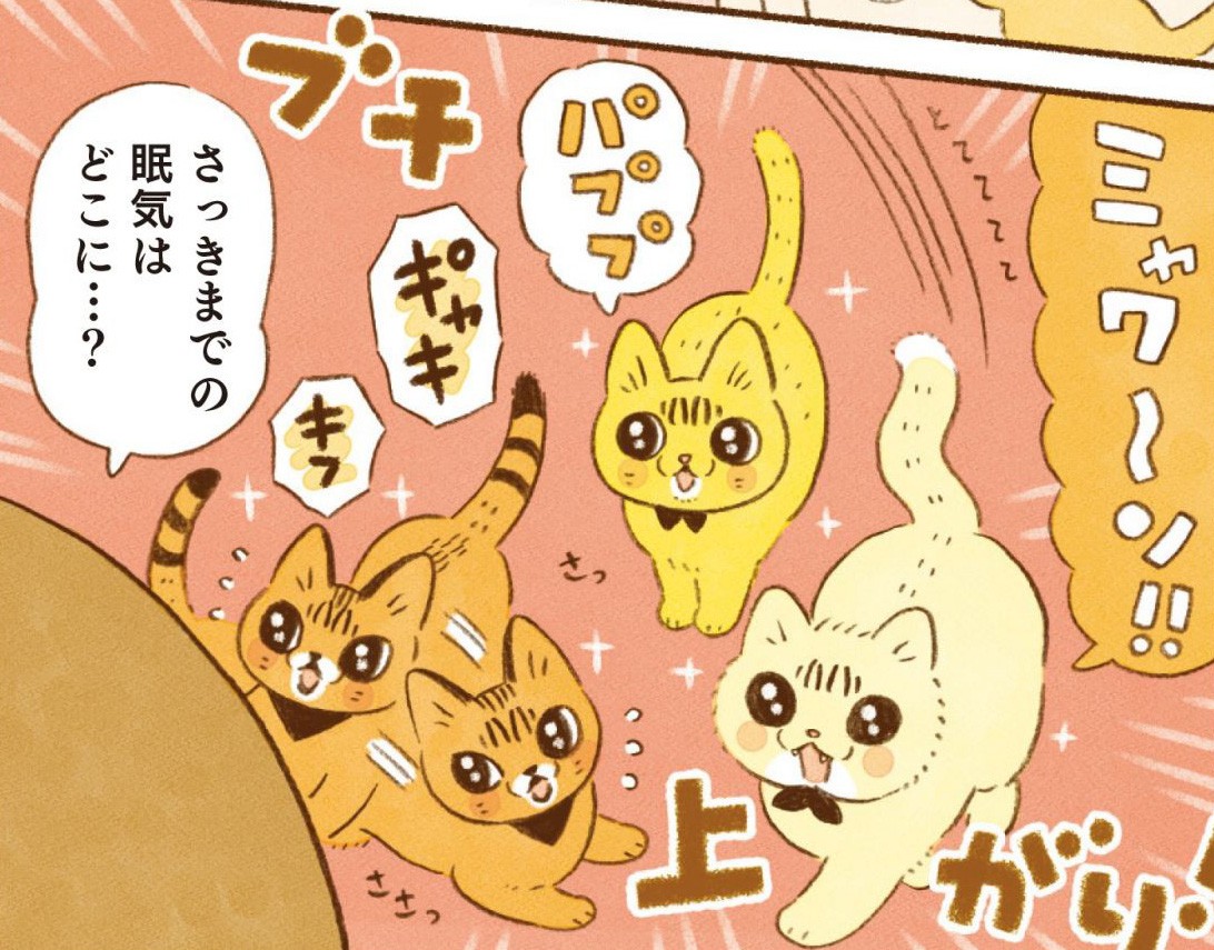お腹いっぱいになったら即就寝！ 欲望に忠実な猫たち／しまねこ3姉妹と