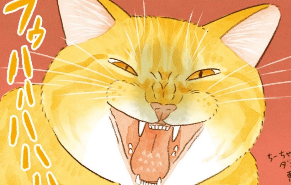 死ぬ程可愛い猫の油絵(^^) tid-sm-213-wh.jpg
