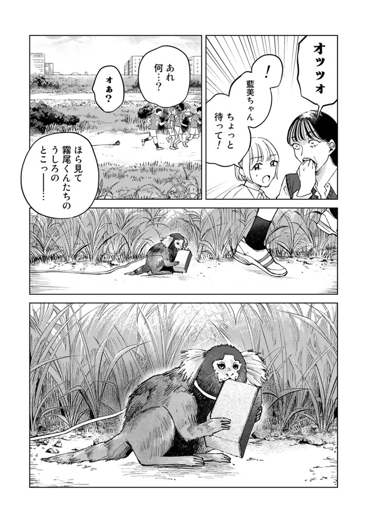 霧尾ファンクラブ