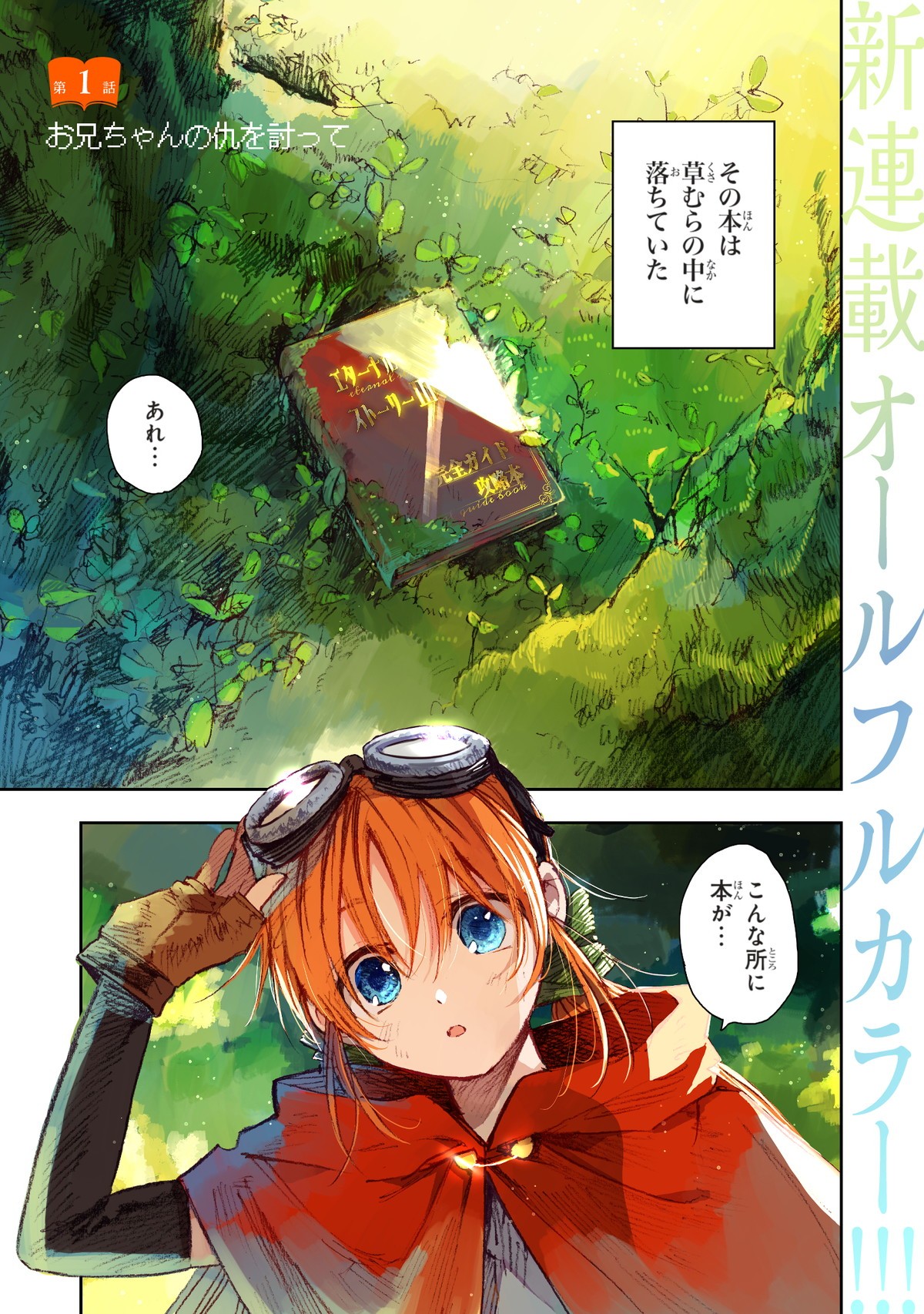 この世界の攻略本を拾ってしまいました